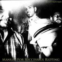 Manuel for successful rioting
