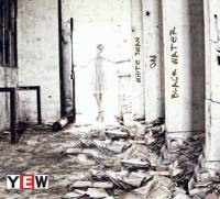 White Swan on Black Water