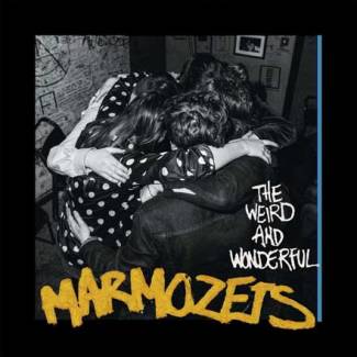 The weird &amp; wonderful Marmozets