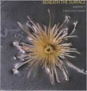 Beneath The Surface Volume 1 – A Bella Union Sampler