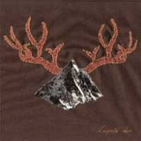 The Blue House Dandelions