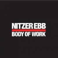 Body of Work