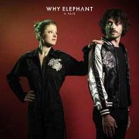 Why Elephant voit double…