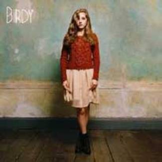 Birdy fait son nid !