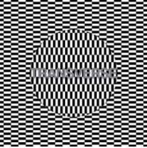 Les chemins de traverse de Carter Tutti Void