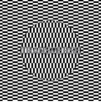 Les chemins de traverse de Carter Tutti Void