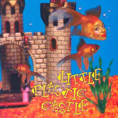 Little plastic castle