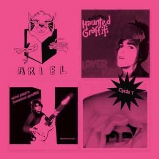 Rééditions en série pour Ariel Pink…