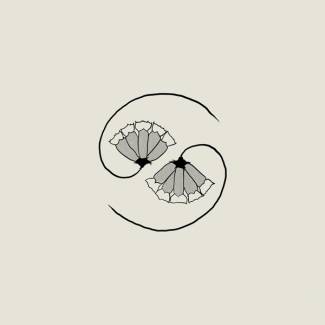Le monde ideal de Godspeed You! Black Emperor…