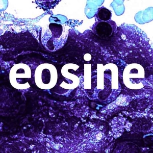 Le côté celtique d’Eosine