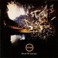 Herd of instinct