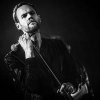 Het Zesde Metaal – Wannes Cappelle - Geen metaalmoeheid