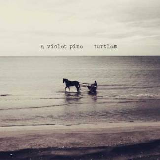 Turtles