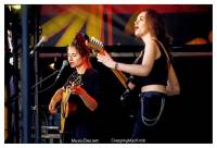 Kids With Buns - Een setje bol van melancholie