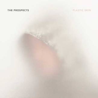 Plastic skin