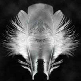 Amenra, le retour…