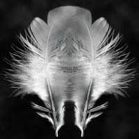 Amenra, le retour…