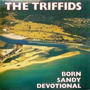 The Triffids - Prachtig eerbetoon