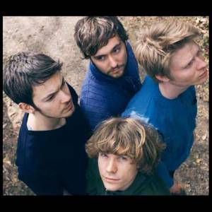 Treefight for Sunlight : décidemment, le Danemark est devenu le royaume de la pop.