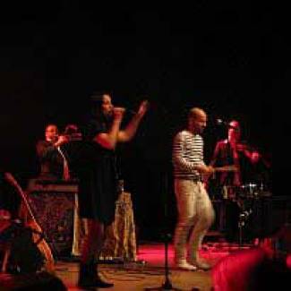 Shantel &amp; Bucovina Club Orkestar: krankzinnig opzwepende Balkanbeats