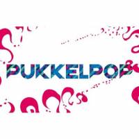 Pukkelpop 2015 – zaterdag 22 augustus 2015