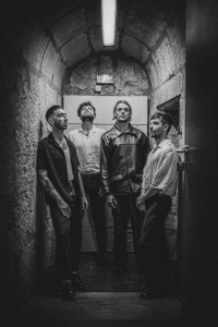 La fortune de DEAD CHIC