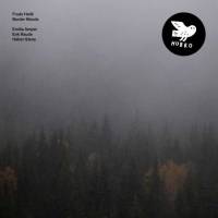 The Border Woods 