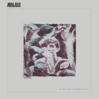 Midlake visonnaire…