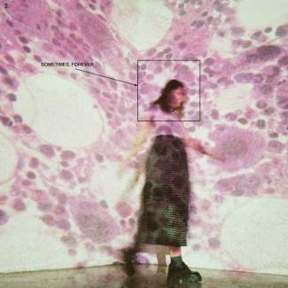Les indécisions de Soccer Mommy…