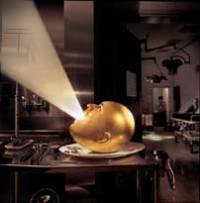 de-loused in the comatorium