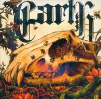 The Bees Made Honey In The Lion’s Skull