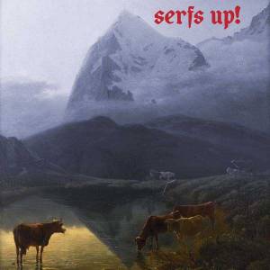 Serfs up !