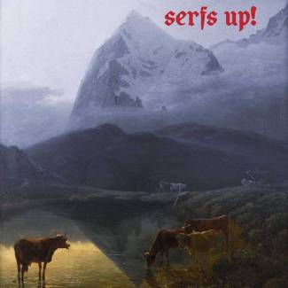 Serfs up !