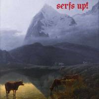Serfs up !