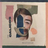 Driftwood -single-
