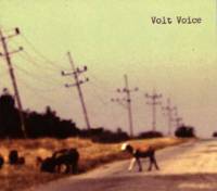 Volt Voice