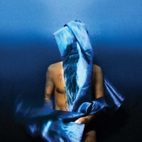 La perruque volante de Devendra Banhart