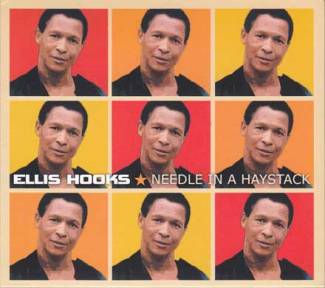 Needle in a haystack