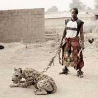 Un retour aux sources pour Honest Jon’s