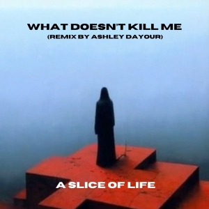 What Doesn’t Kill Me – Ashley Dayour-remix -single-