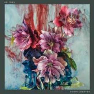 Les Editors en mode ‘morriconesque’…