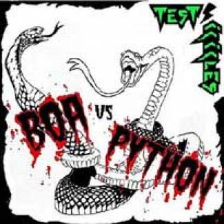 Boa Vs Python