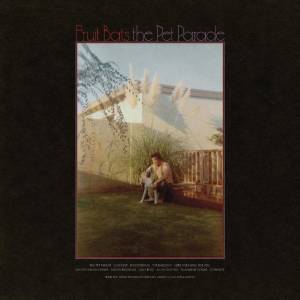 Fruit Bats : la parade des chauve-souris frugivores…