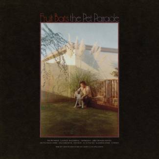 Fruit Bats : la parade des chauve-souris frugivores…