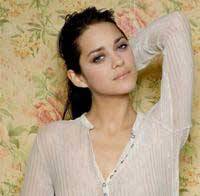 Les effluves de Marion Cotillard et Franz Ferdinand