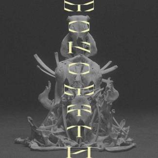 Animal As Leaders, un mythe unique ?