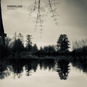 Marshland