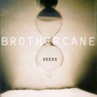Seeds