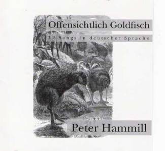 Offensichtlich Goldfisch