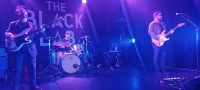The Cold Stares - Heerlijke blues-rock zonder franjes
